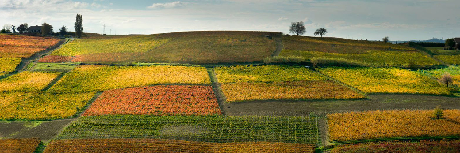 langhe