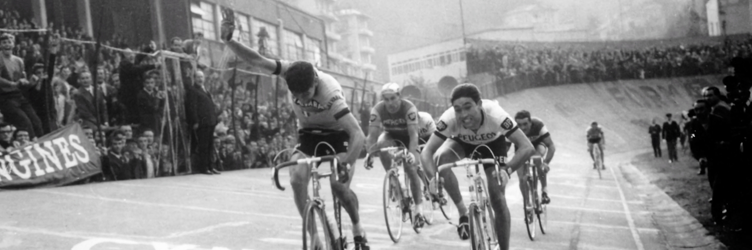 Felice Gimondi Busto